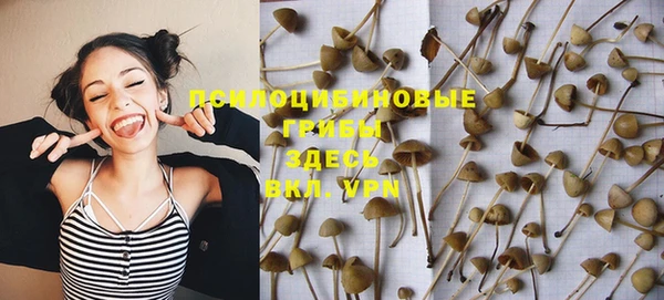 дурь Абаза