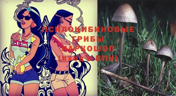 Альфа ПВП Алексеевка