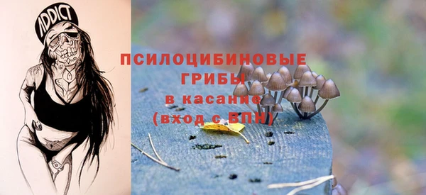 твердый Абинск