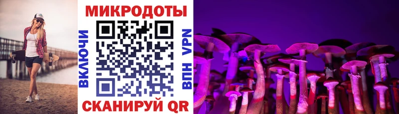 mega как войти  Нижнекамск  Псилоцибиновые грибы мухоморы 