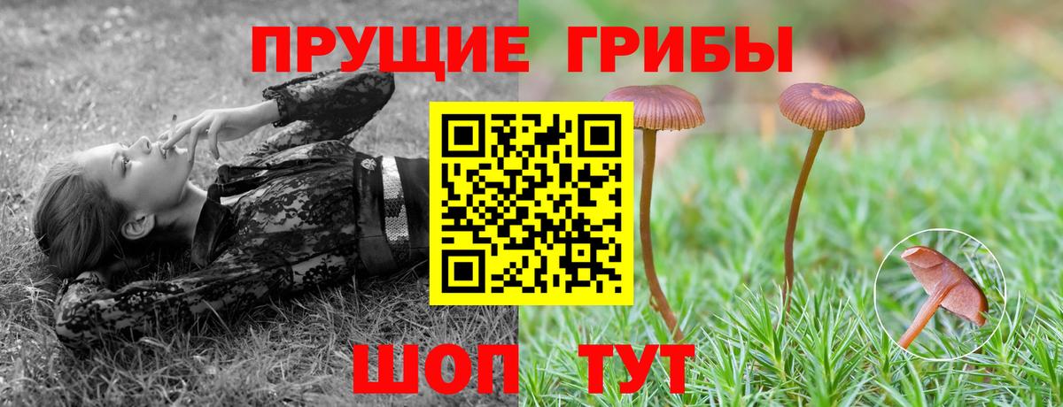 Нижнекамск  Галлюциногенные грибы MAGIC MUSHROOMS  Вход с VPN 